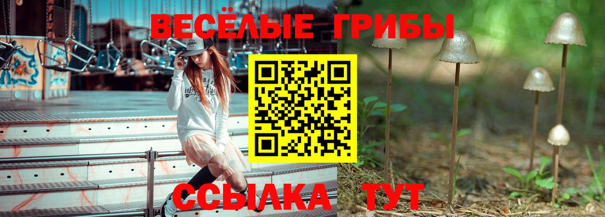 Псилоцибиновые грибы мицелий Коломна